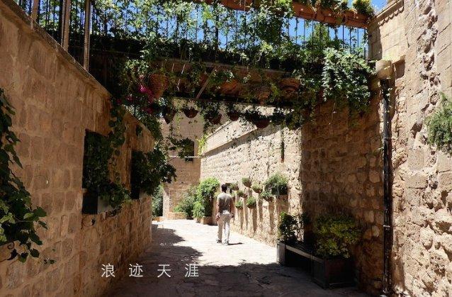 生态环境违法行为青岛去年立案查处392起!23起移送公安部门