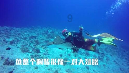 4部唐妆风格的古装剧,部部爆款预定,哪部最让你望眼欲穿?