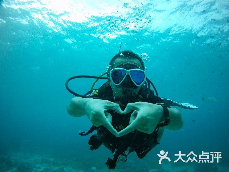 滚动的奶酪选关版