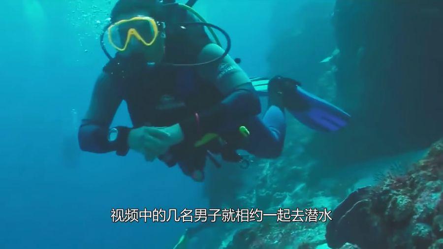 市十六届人大四次会议召开预备会议