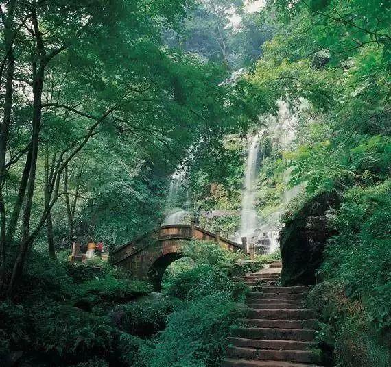 中信银行滨州分行为绘就乡村振兴新画卷增色添彩