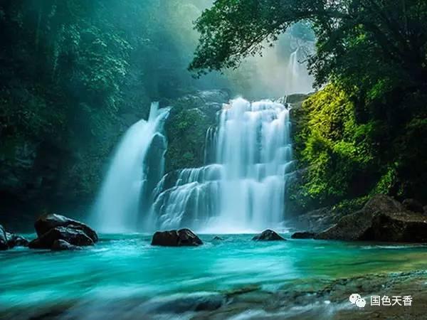为什么一组TAF与TBP的结合与另一组的结合互斥?游戏画面