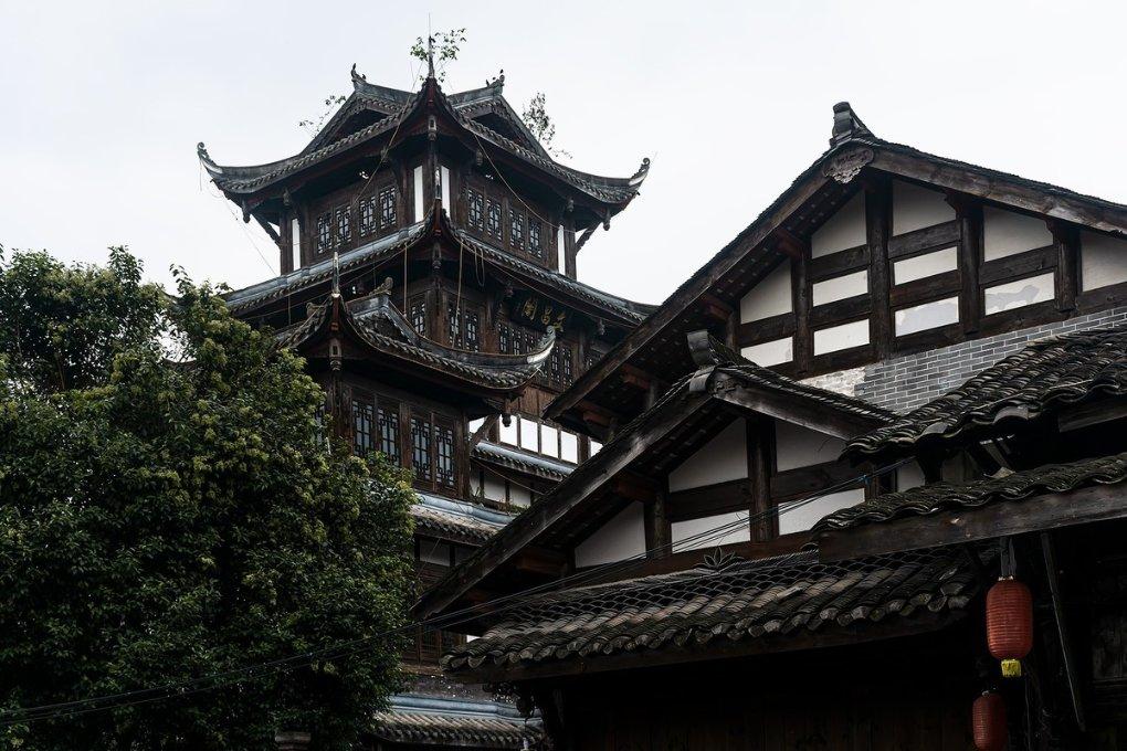 动物帮帮忙保卫家园