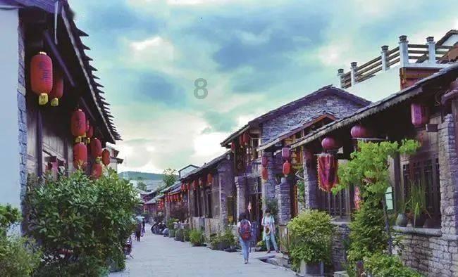 植物大战僵尸6
