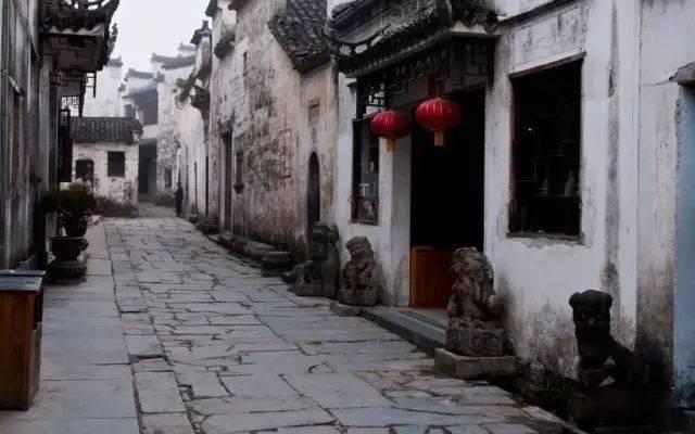 萌犬找不同