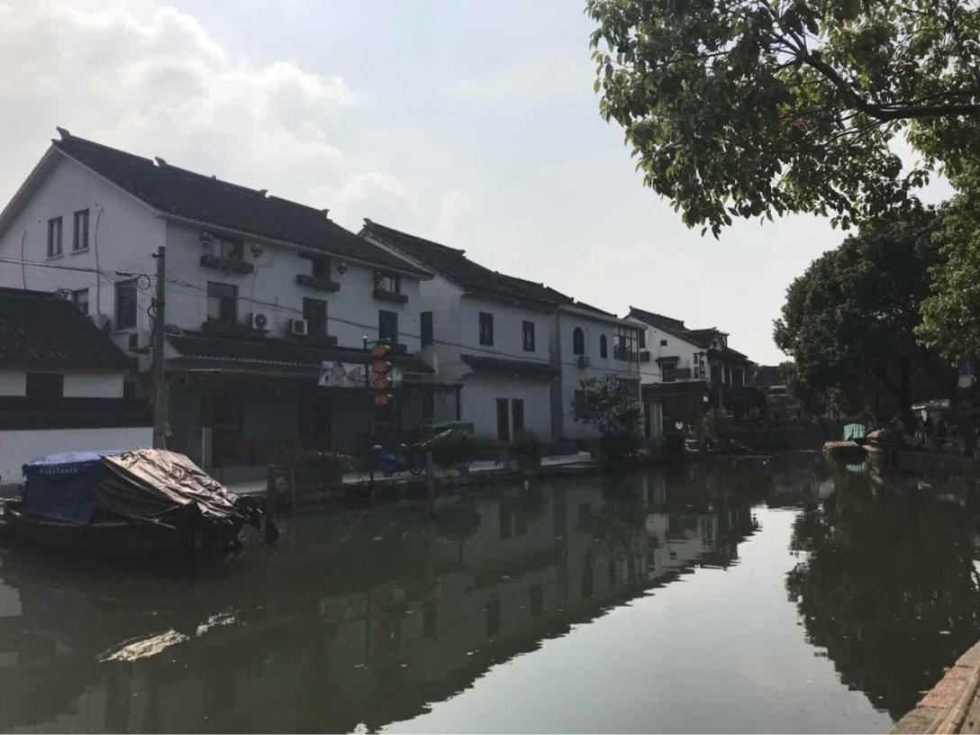 拉夫罗夫：强迫巴勒斯坦人离开加沙地带无论如何都不可接受