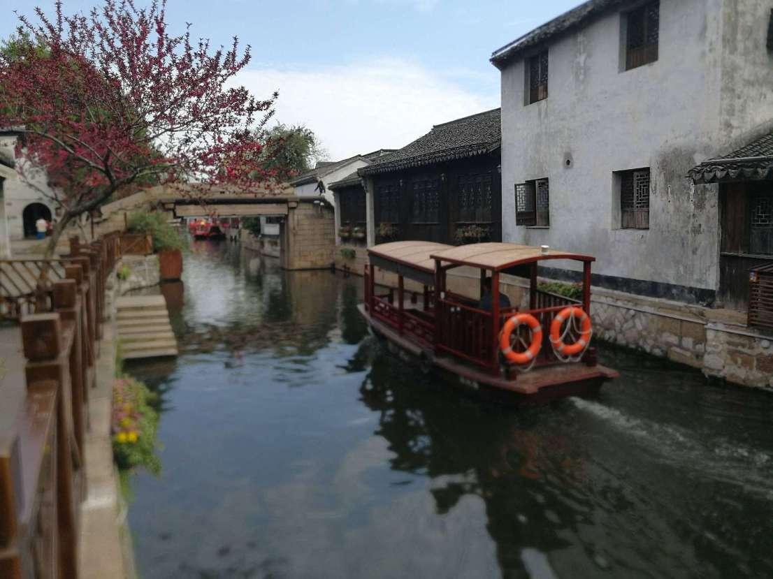 小兔子大冒险