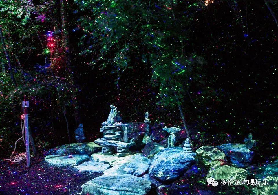 覆车之戒 | 走错路口直接倒车回主线?害人害己负全责!
